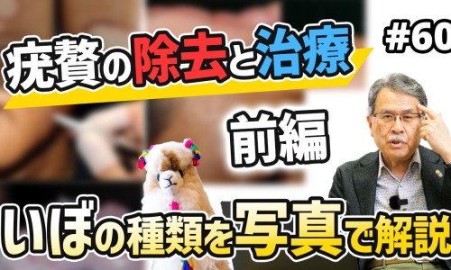 倍力泰的功效与作用-倍力他的功效与作用网 | 贝力泰锌的功效与作用,贝力泰锌的功效与作用